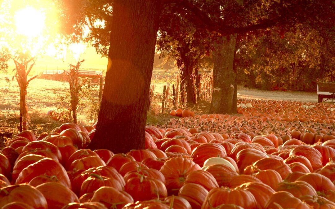 Market News October 25