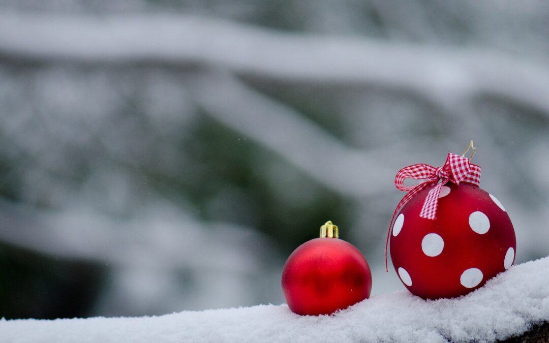 Market News December 20