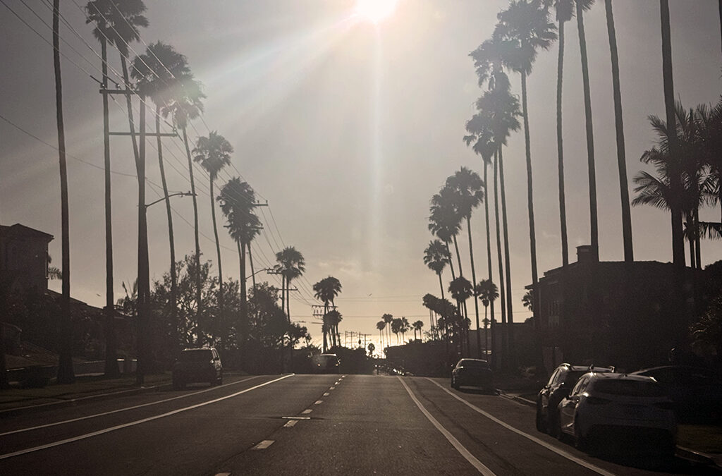 Market News August 22