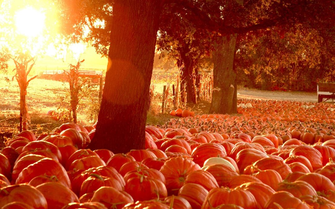 Market News October 10