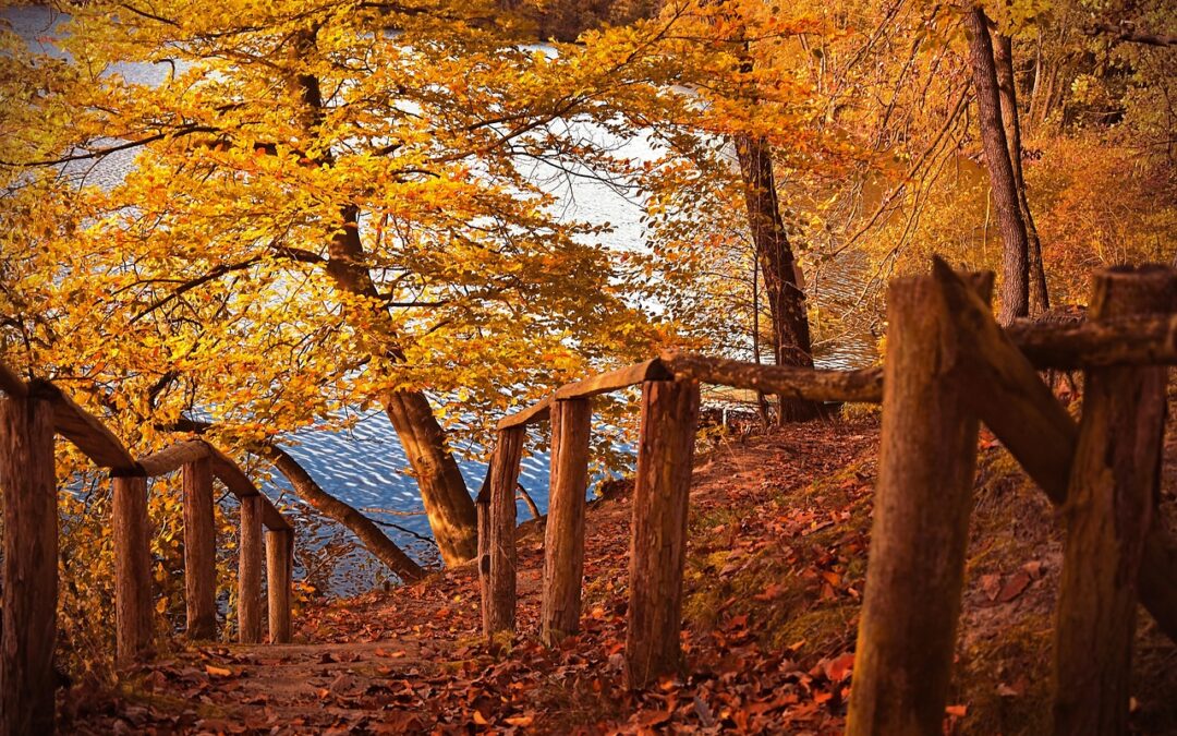 Market News October 17